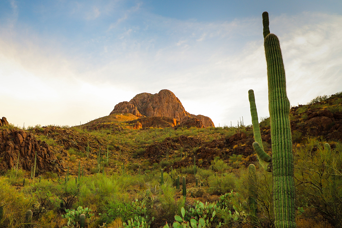 Tucson, AZ - Concrete Block Supply